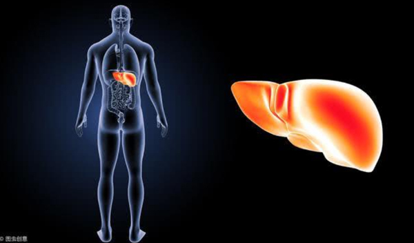 Nếu ngừng uống rượu bia, cơ thể bạn sẽ c&oacute; 10 thay đổi bất ngờ