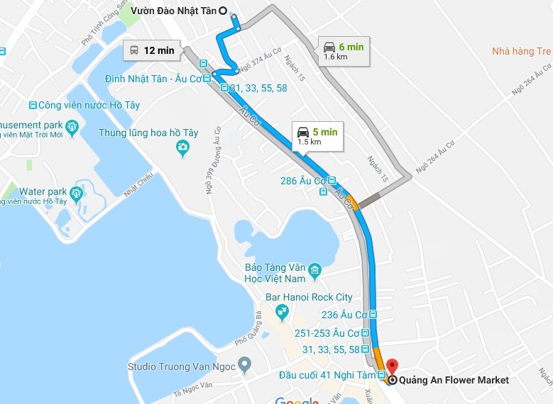 Vườn đào Nhật Tân rực sắc hồng đón Tết - Ảnh 10. Vườn đào Nhật Tân rực sắc hồng đón Tết - Ảnh 10.