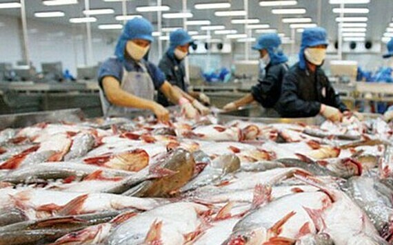 Xuất khẩu cá tra của Việt Nam sang thị trường ASEAN tăng trưởng nhanh - Ảnh 1.