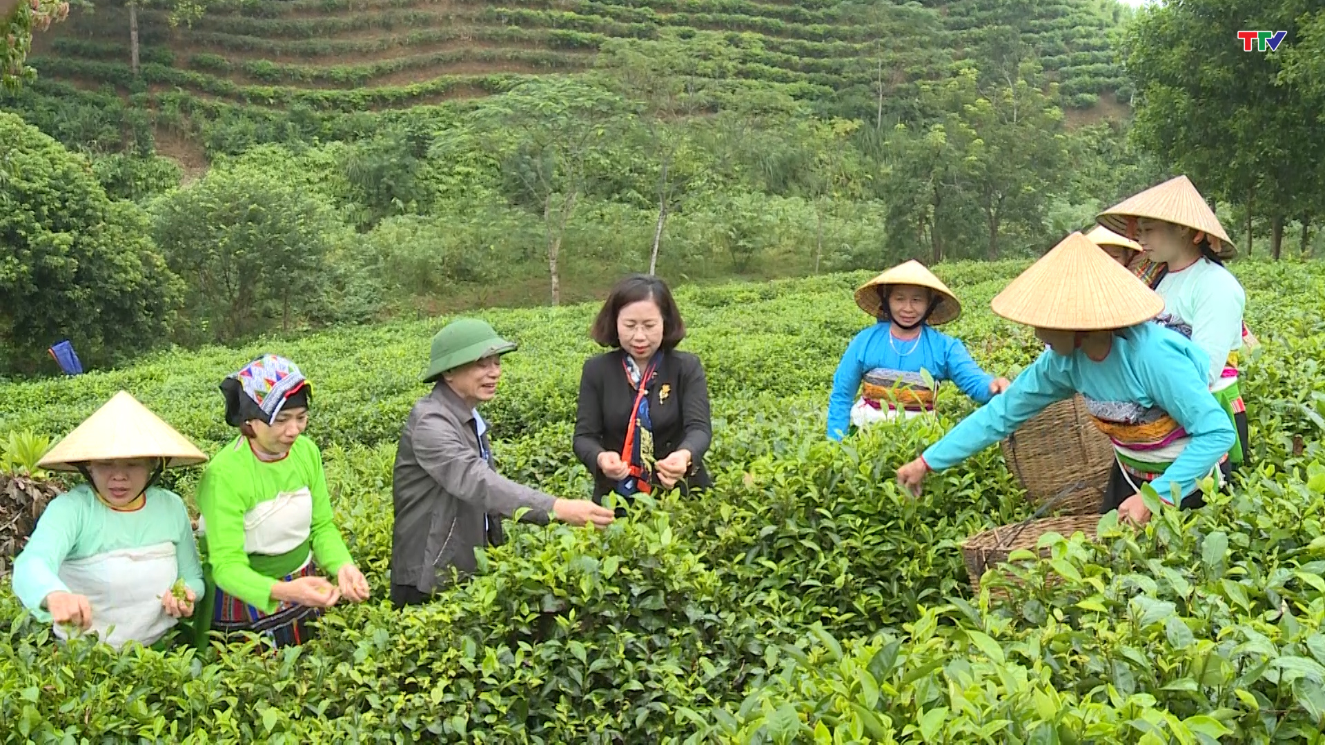 Phó Chủ tịch Hội Nông dân Việt Nam kiểm tra hoạt động công tác hội và phong trào nông dân tỉnh Thanh Hóa - Ảnh 4.