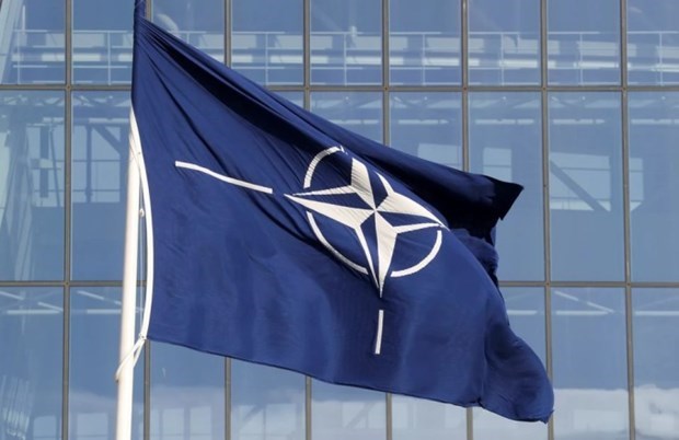 Lãnh đạo Thổ Nhĩ Kỳ và Thụy Điển thảo luận tháo gỡ khó khăn về gia nhập NATO - Ảnh 1.