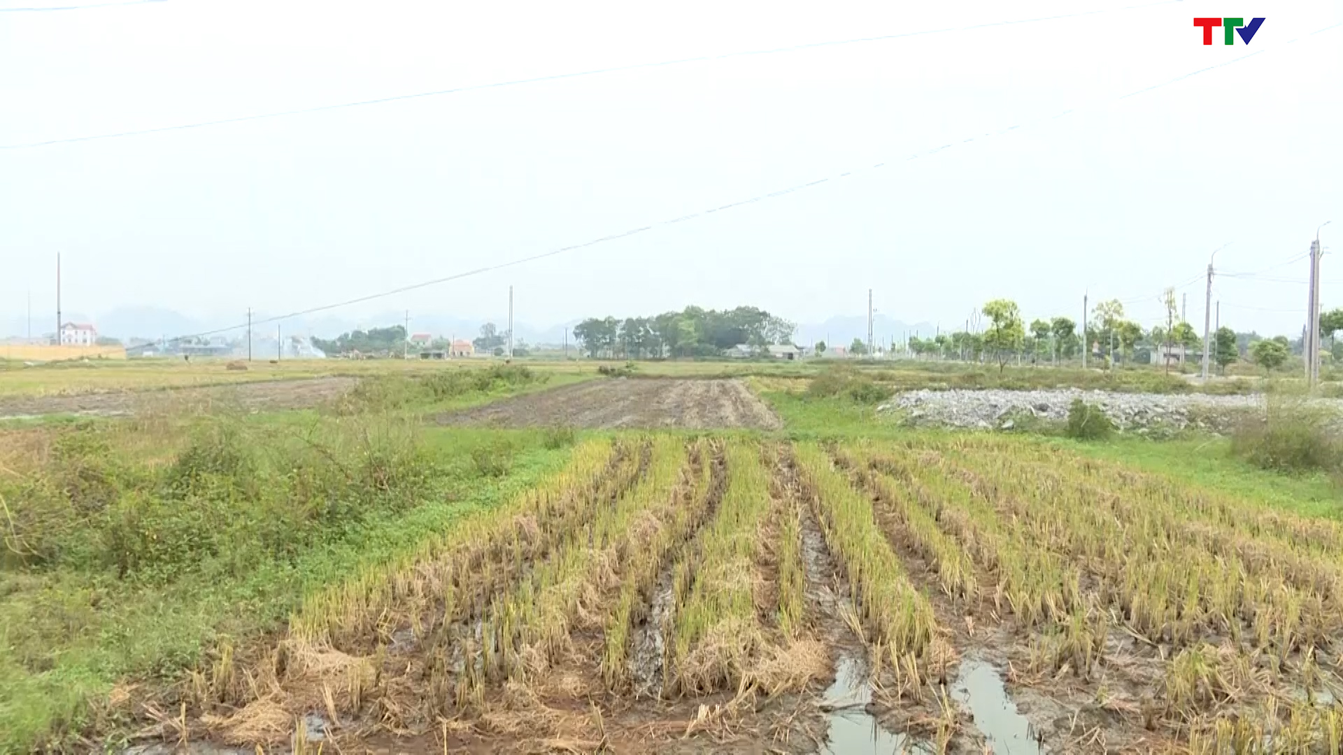 Huyện Nga Sơn thực hiện kết luận thanh tra việc quản lý, sử dụng kinh phí quản lý đất trồng lúa
 - Ảnh 3.