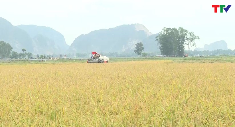 Nông nghiệp Việt Nam trước cơ hội gia tăng giá trị từ các phụ phẩm lúa gạo - Ảnh 2.