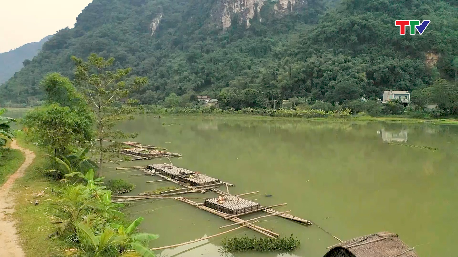 Nông dân xã Hạ Trung phát triển nghề nuôi cá lồng trên mặt nước lòng hồ Thủy điện Bá Thước 2 - Ảnh 6.