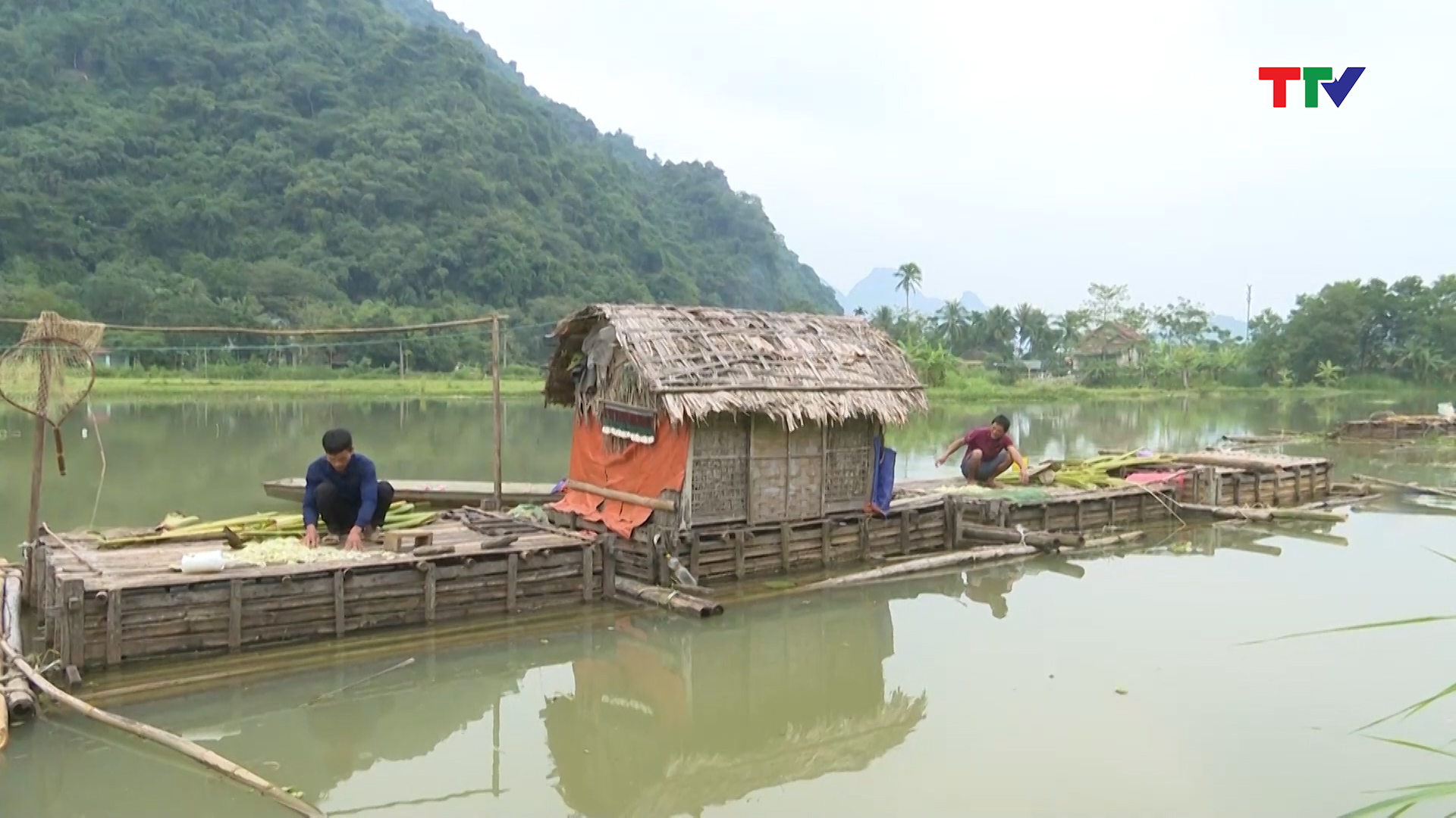 Nông dân xã Hạ Trung phát triển nghề nuôi cá lồng trên mặt nước lòng hồ Thủy điện Bá Thước 2 - Ảnh 4.