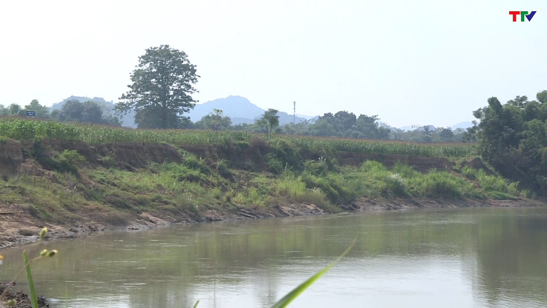 Cần khắc phục tình trạng sạt lở bờ sông trên địa bàn huyện Cẩm Thủy - Ảnh 6.