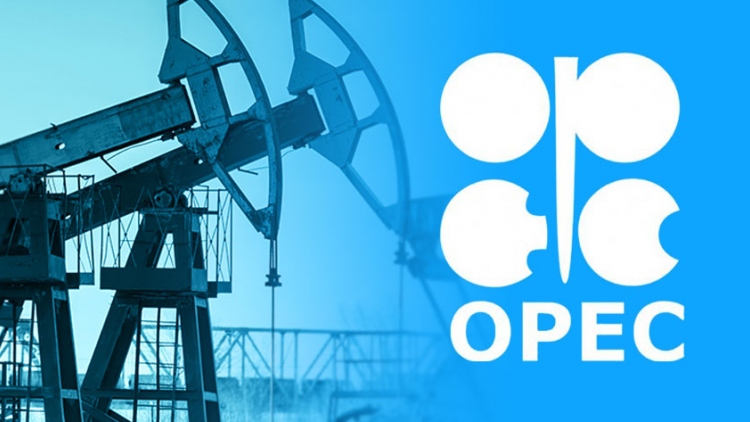 Giá dầu thế giới giảm sau khi OPEC tiếp tục hạ dự báo nhu cầu - Ảnh 1.