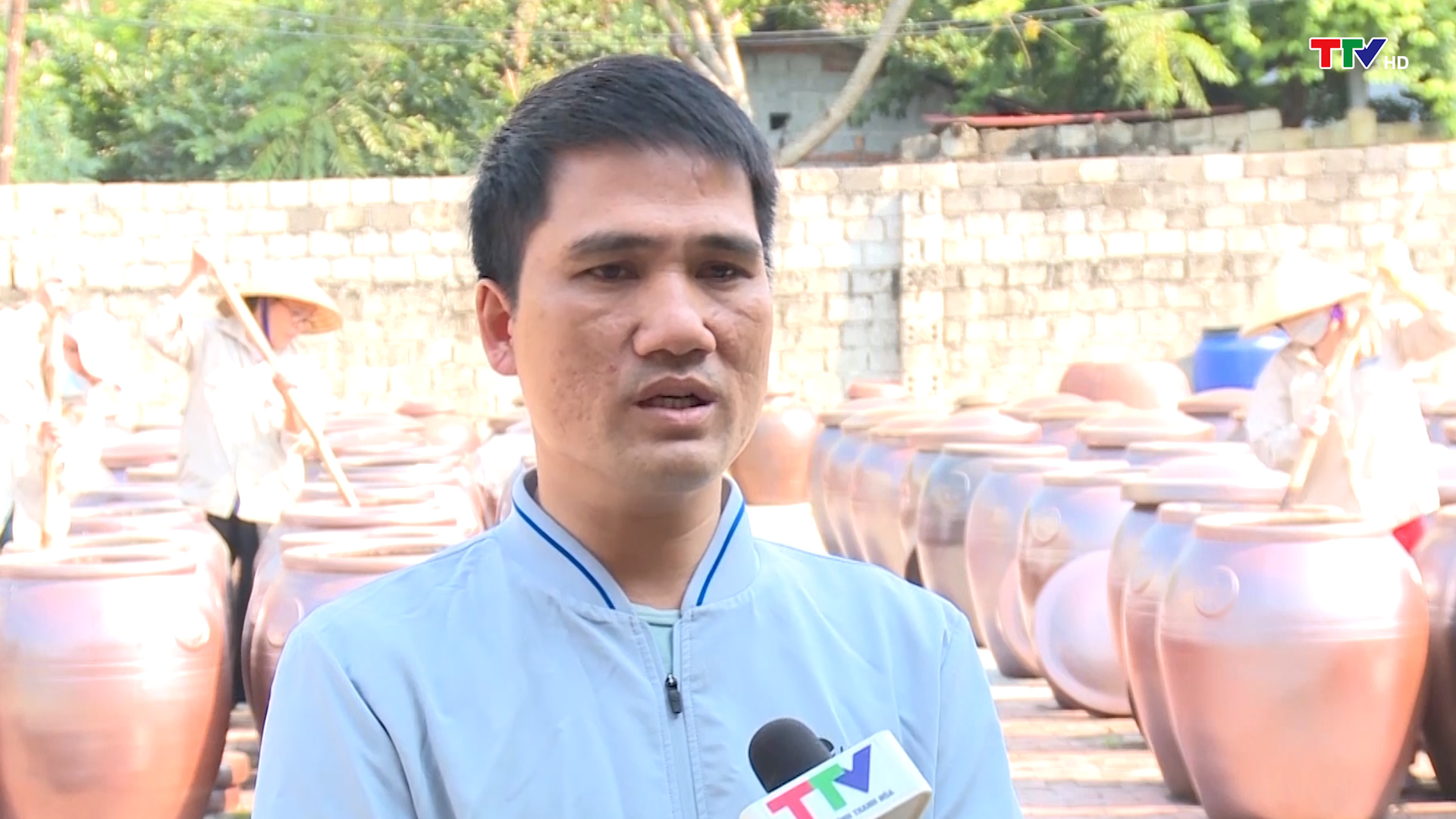 Đổi mới hoạt động của c&aacute;c hợp t&aacute;c x&atilde; phi n&ocirc;ng nghiệp - Ảnh 2.