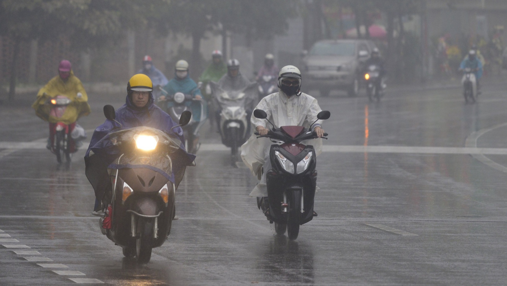 Ngày 1/12, Thanh Hóa có mưa rào rải rác, trời chuyển rét - Ảnh 1.