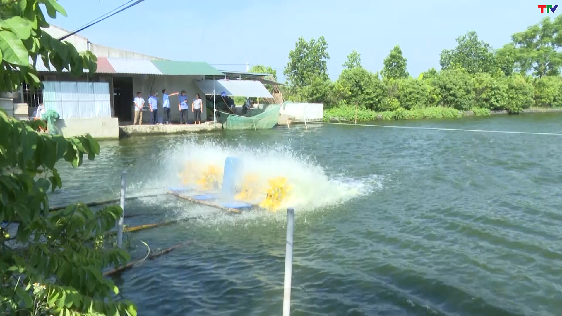 Xây dựng vùng nuôi trồng thủy sản gắn với trang trại tổng hợp tại xã Nam Giang - Ảnh 2. Xây dựng vùng nuôi trồng thủy sản gắn với trang trại tổng hợp tại xã Nam Giang - Ảnh 2.