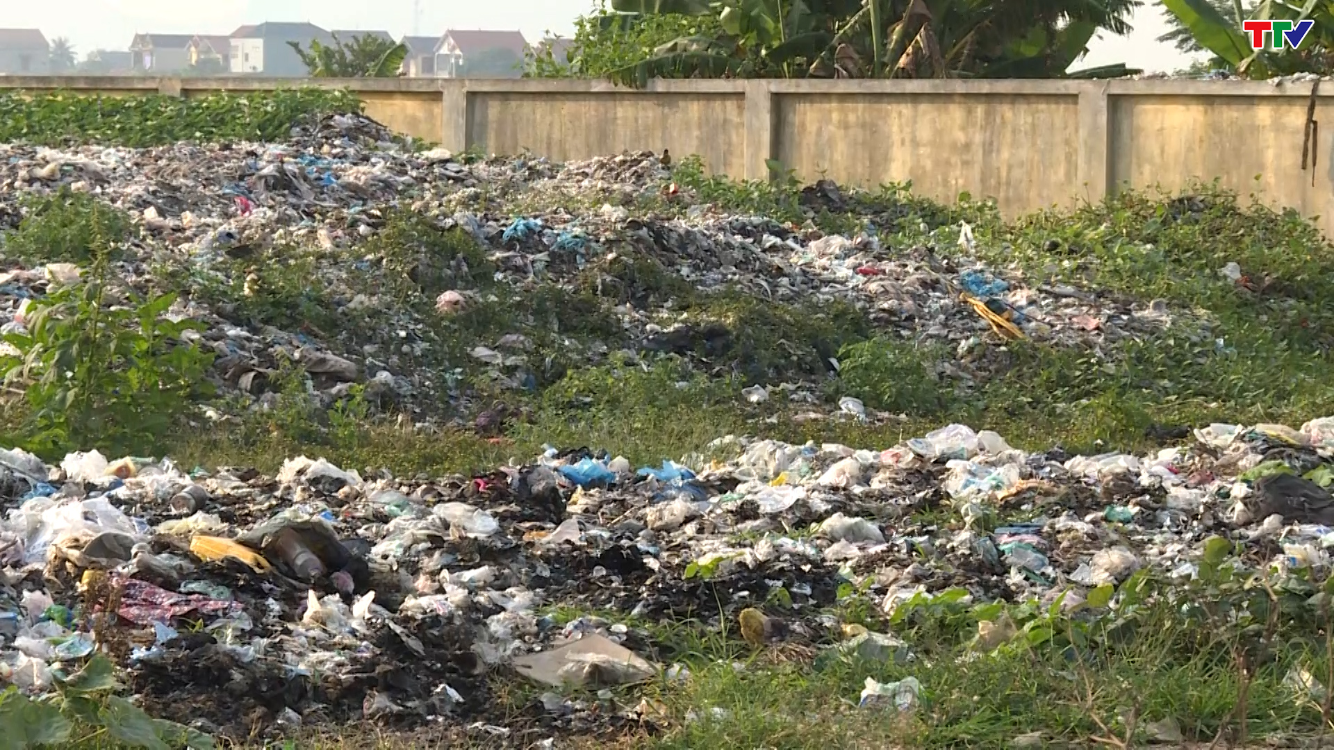 Lò đốt rác ở xã Hòa Lộc, huyện Hậu Lộc bỏ hoang gây ô nhiễm môi trường - Ảnh 6.