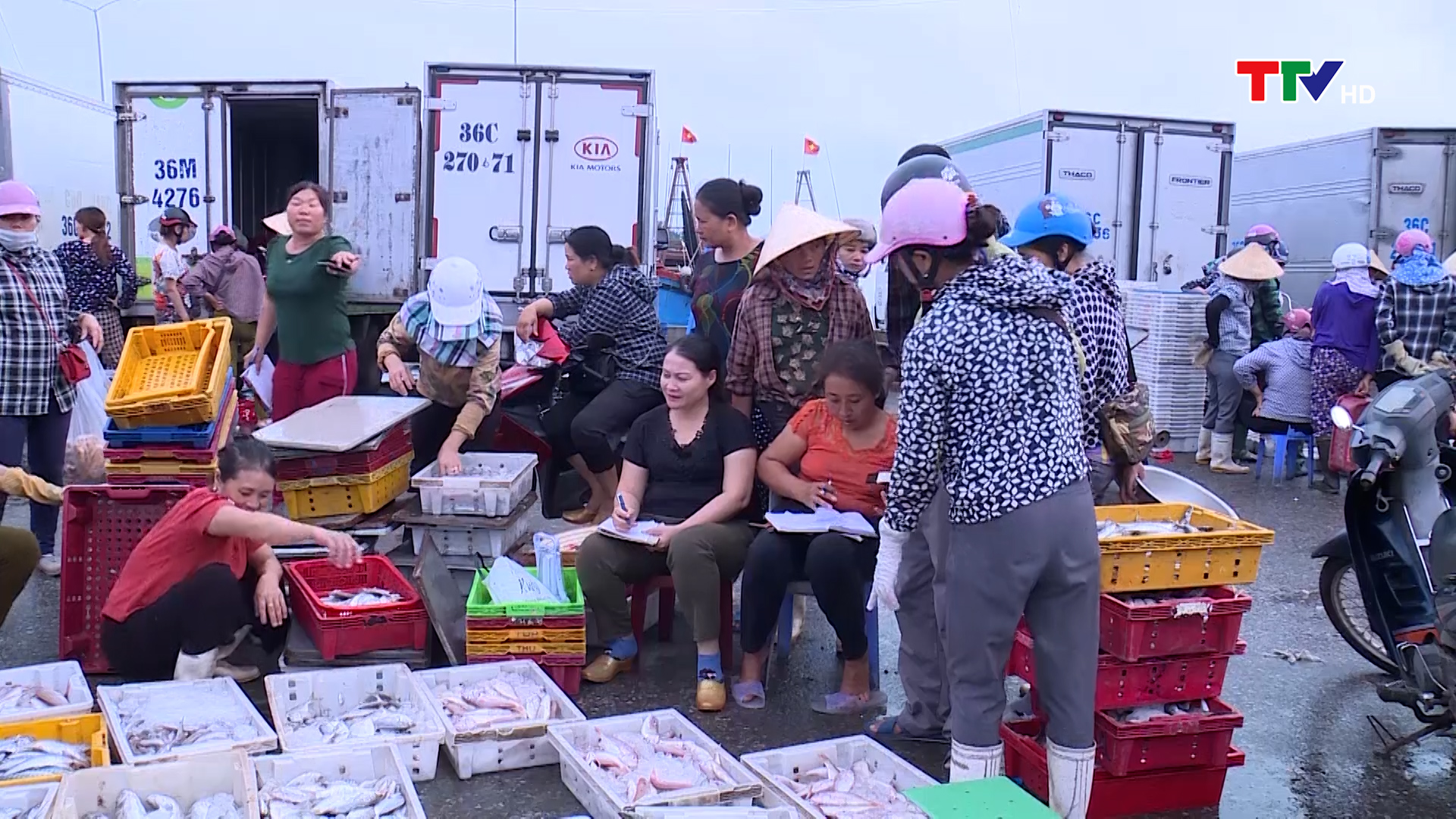 Ngư dân Thanh Hóa tích cực bám biển đánh bắt vụ cá Bắc 2022 - 2023 - Ảnh 2.
