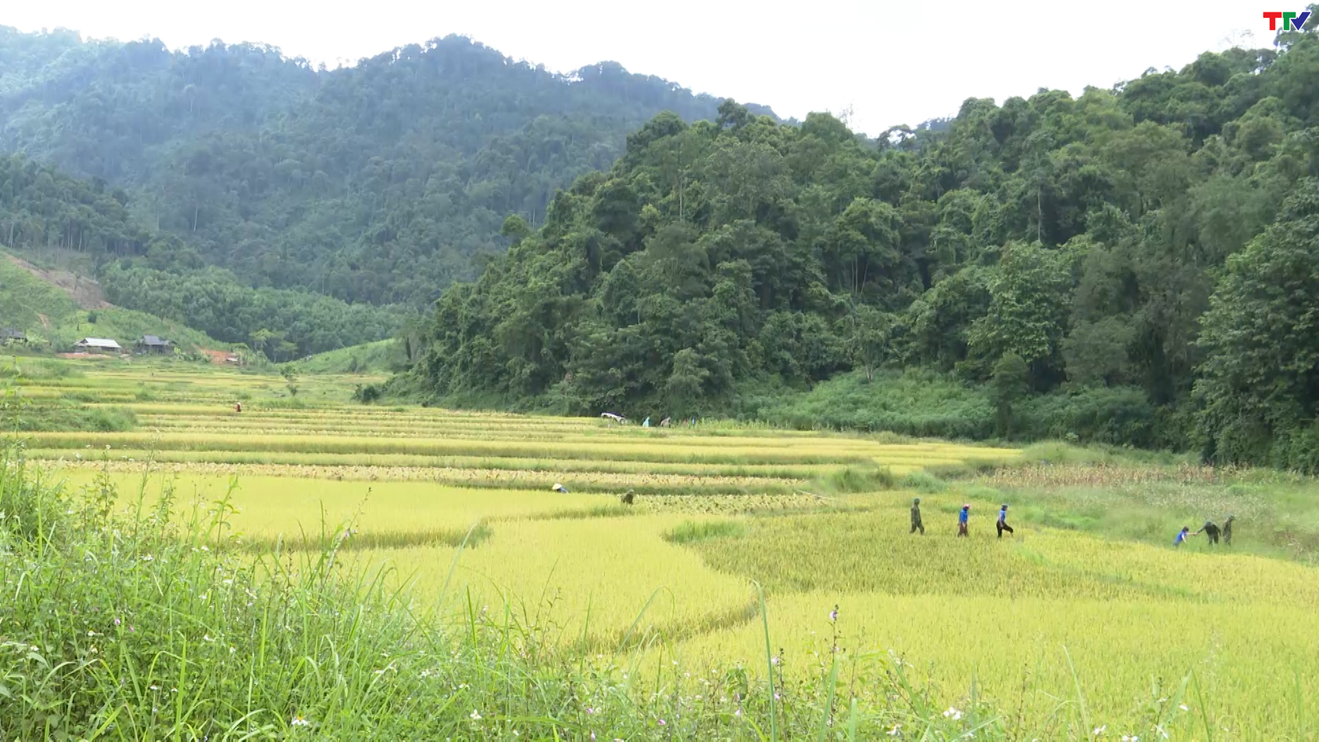 Đồn Biên phòng Bát Mọt làm theo lời Bác - Ảnh 2.