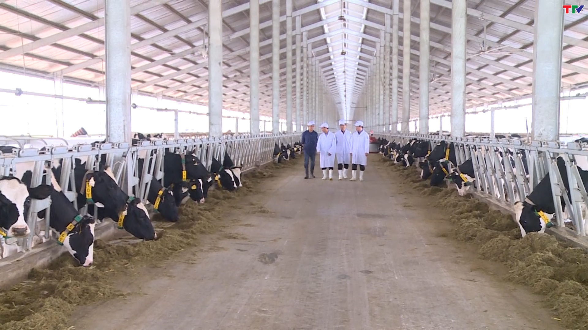 Thanh H&oacute;a ph&aacute;t triển chăn nu&ocirc;i theo hướng bền vững - Ảnh 5.