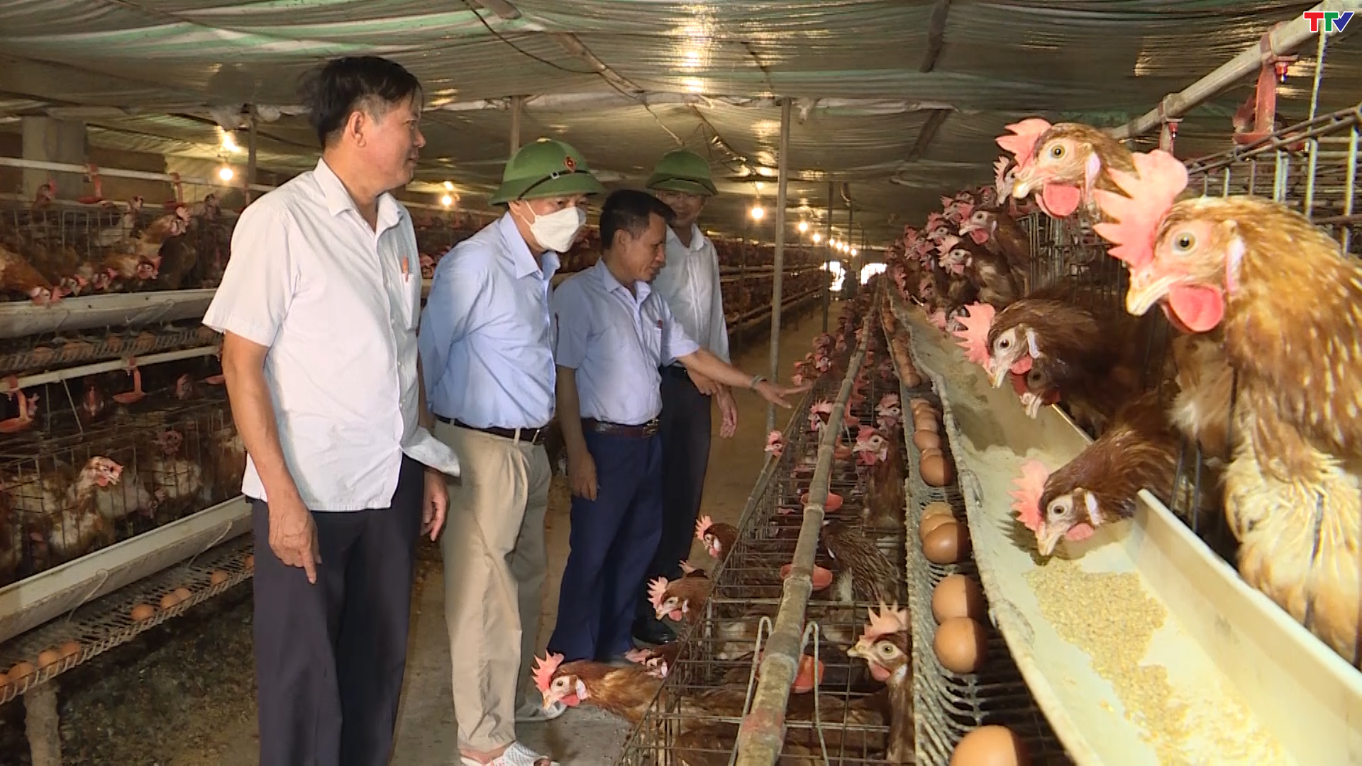 Thanh H&oacute;a ph&aacute;t triển chăn nu&ocirc;i theo hướng bền vững - Ảnh 6.