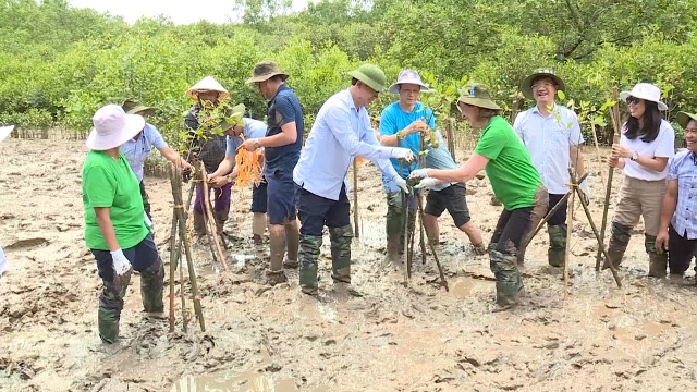 Văn phòng Chương trình Phát triển LHQ tại Việt Nam kiểm tra các chương trình, dự án đã tài trợ tại tỉnh Thanh - Ảnh 3.