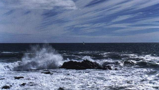 Dự báo gió mạnh trên biển ngày 10/8 - Ảnh 1.