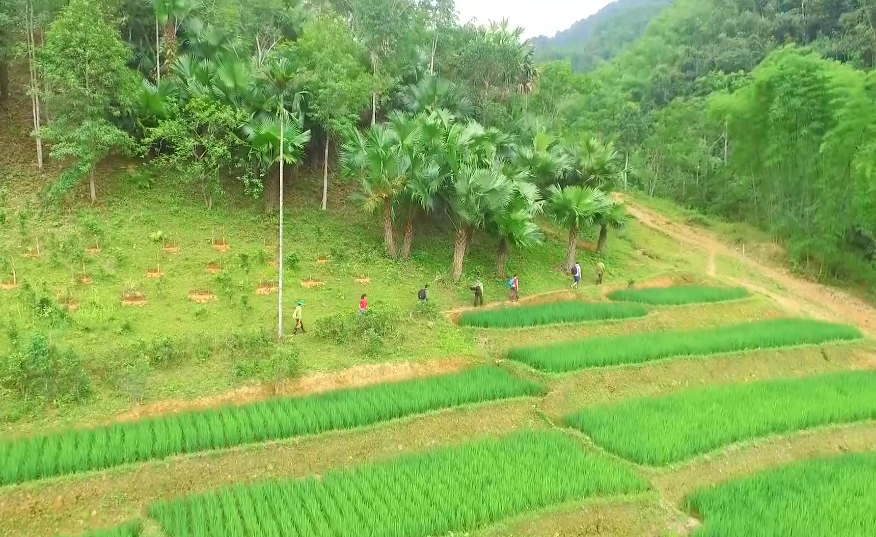 Tăng cường các biện pháp giữ rừng vùng biên giới Thanh Hoá giáp nước CHDCND Lào  - Ảnh 4.
