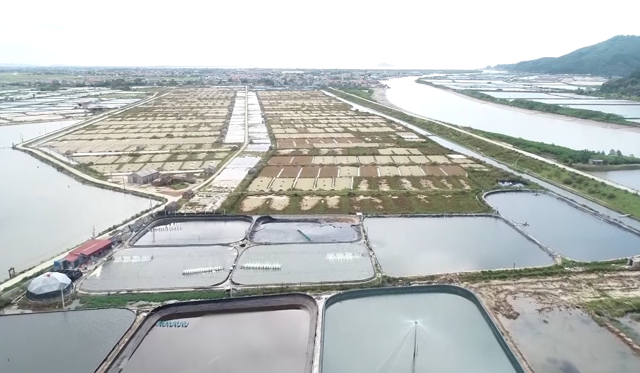 Huyện Hậu Lộc xây dựng nông thôn mới gắn với phát triển sản xuất - Ảnh 4.
