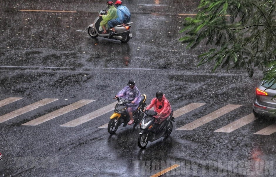 Ngày 25/8, Thanh Hoá có mưa rào và dông nhiều nơi - Ảnh 1.