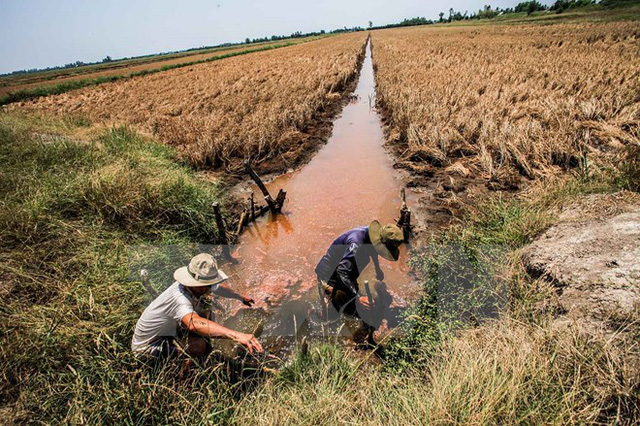 Việt Nam cần 368 tỷ USD khắc phục tác động của biến đổi khí hậu - Ảnh 1.