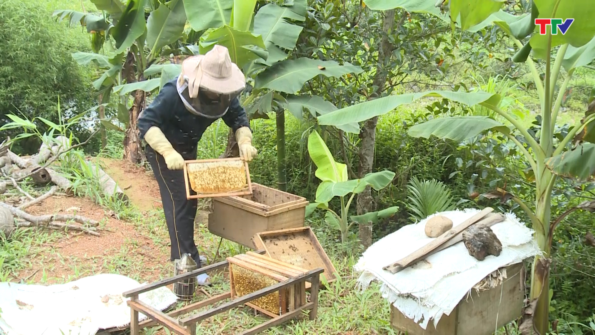 Ký sự Nhất nghệ tinh - Nghề nuôi ong mật ở Yên Nhân - Ảnh 6.