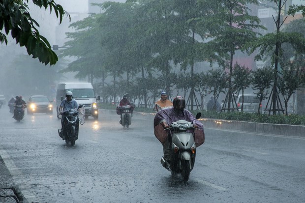 Từ chiều ngày 24 - 25/9, Thanh Hóa tiếp tục có mưa vừa đến mưa to - Ảnh 1.