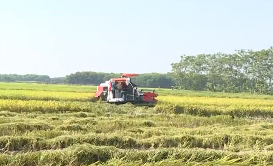 Thọ Xuân tích tụ, tập trung gần 140 ha đất sản xuất nông nghiệp - Ảnh 1.
