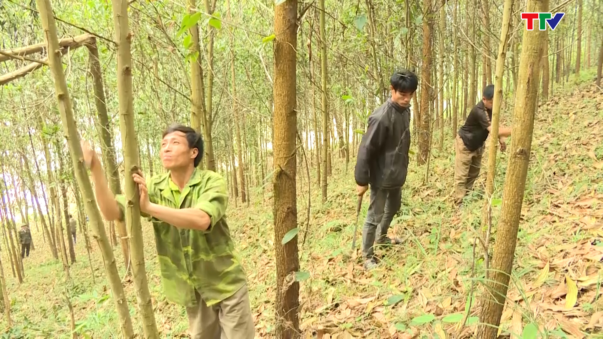 Xử l&yacute; nghi&ecirc;m h&agrave;nh vi ăn chặn gạo hỗ trợ người d&acirc;n  - Ảnh 2.