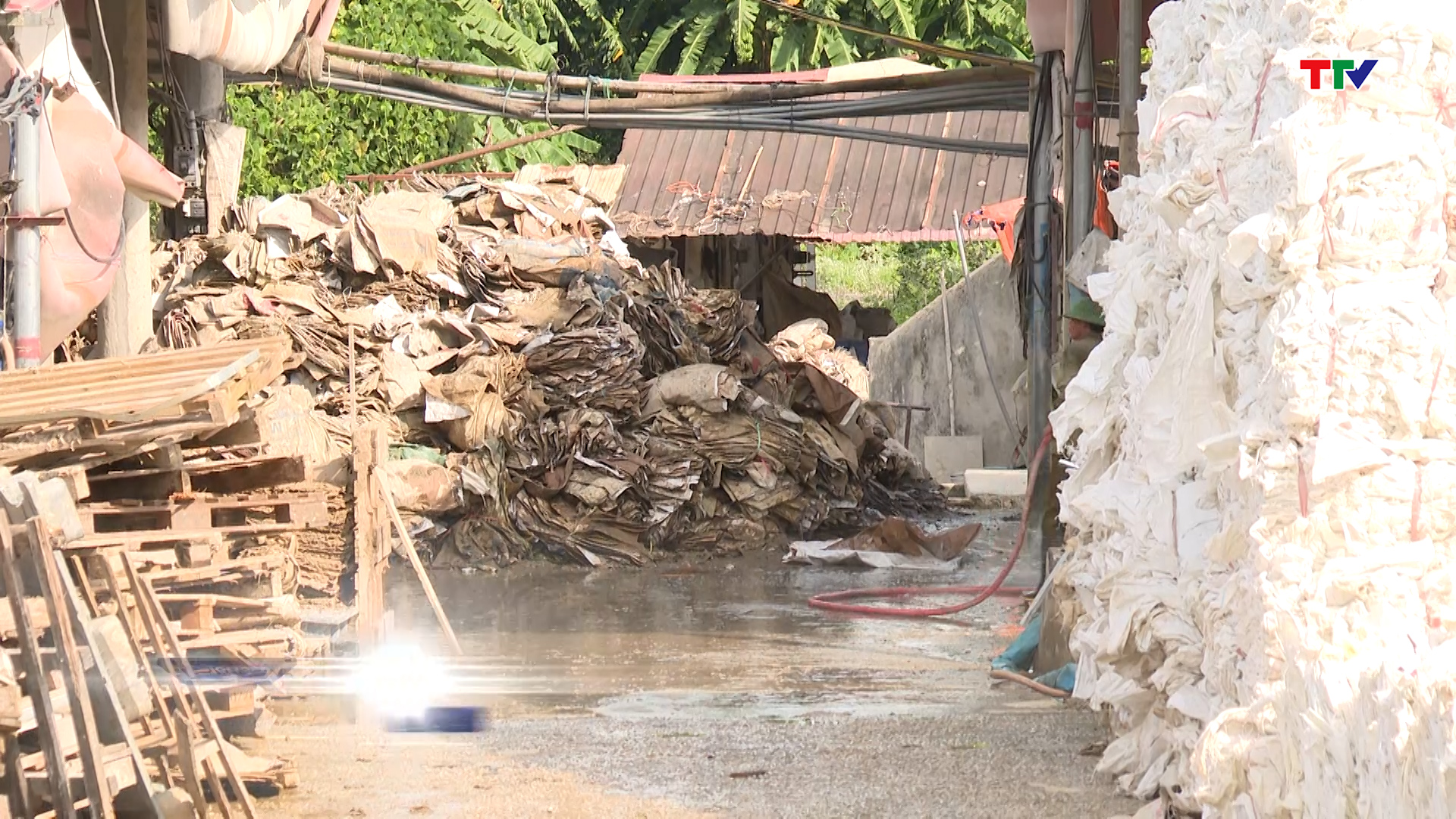 Nhiều sai phạm của cơ sở giặt bao bì tại xã Đại Lộc, Hậu Lộc - Ảnh 3.