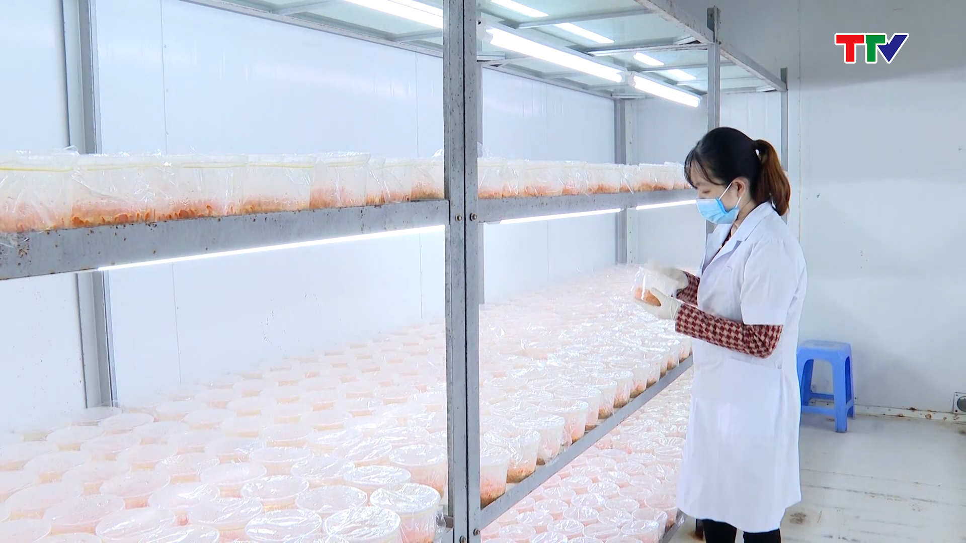 Viện Nông nghiệp Thanh Hóa: Đẩy mạnh nghiên cứu, ứng dụng khoa học công nghệ vào sản xuất - Ảnh 3.