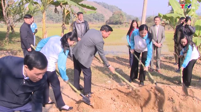 Hội liên hiệp Phụ nữ tỉnh Thanh Hóa hưởng ứng Tết trồng cây - Ảnh 5.