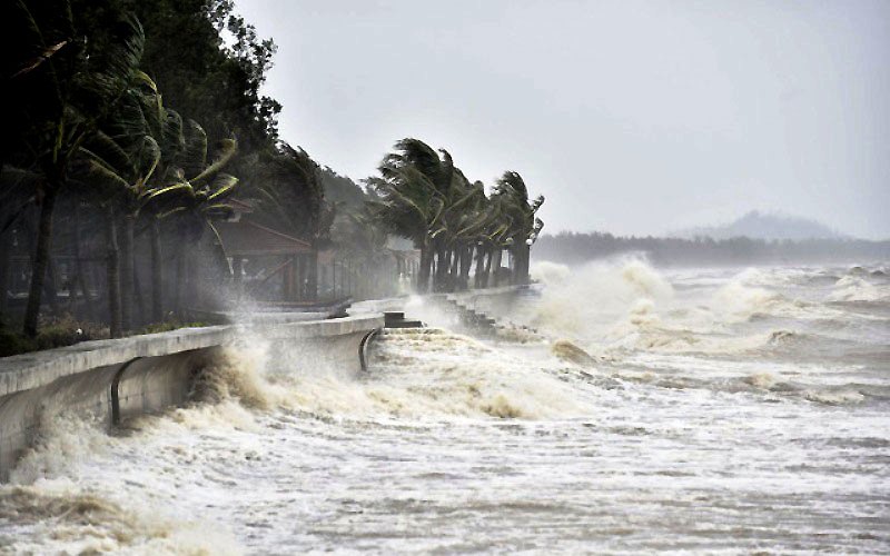 Cảnh báo, dự báo sóng lớn trên vùng biển Thanh Hóa (ngày 19/10) - Ảnh 1.