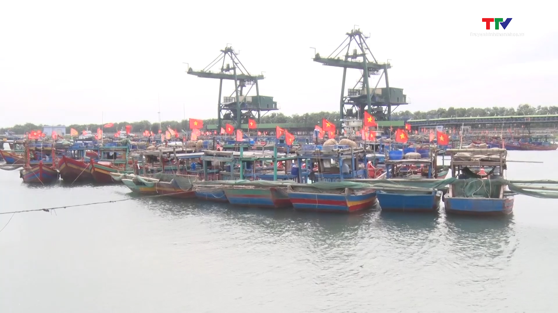 Dự án bến số 3, Cảng container Long Sơn ít gây ảnh hưởng đến ngư trường khai thác của người dân - Ảnh 2.