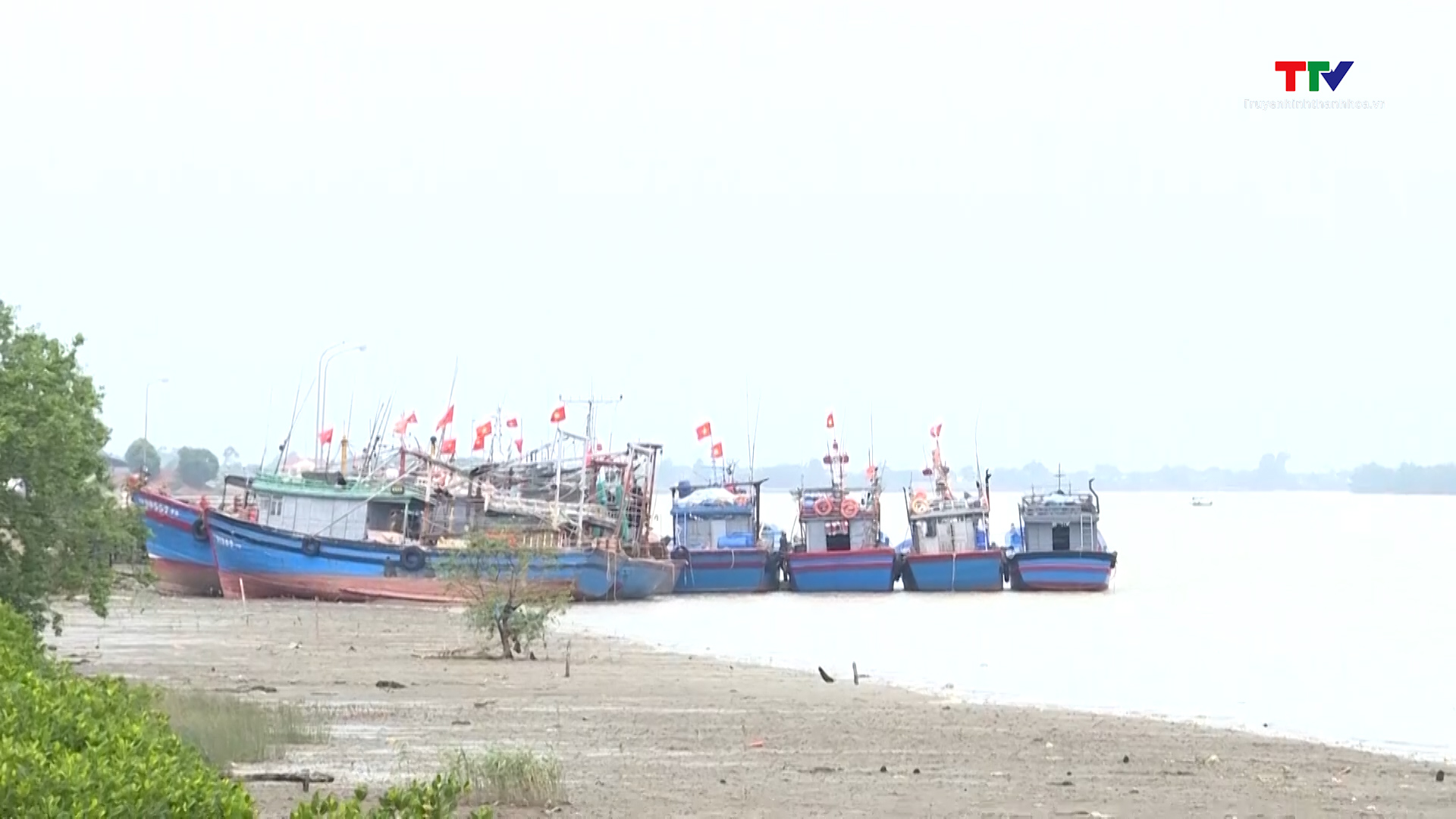 EC đánh giá cao chuyển biến nghề cá có trách nhiệm của Việt Nam - Ảnh 2.
