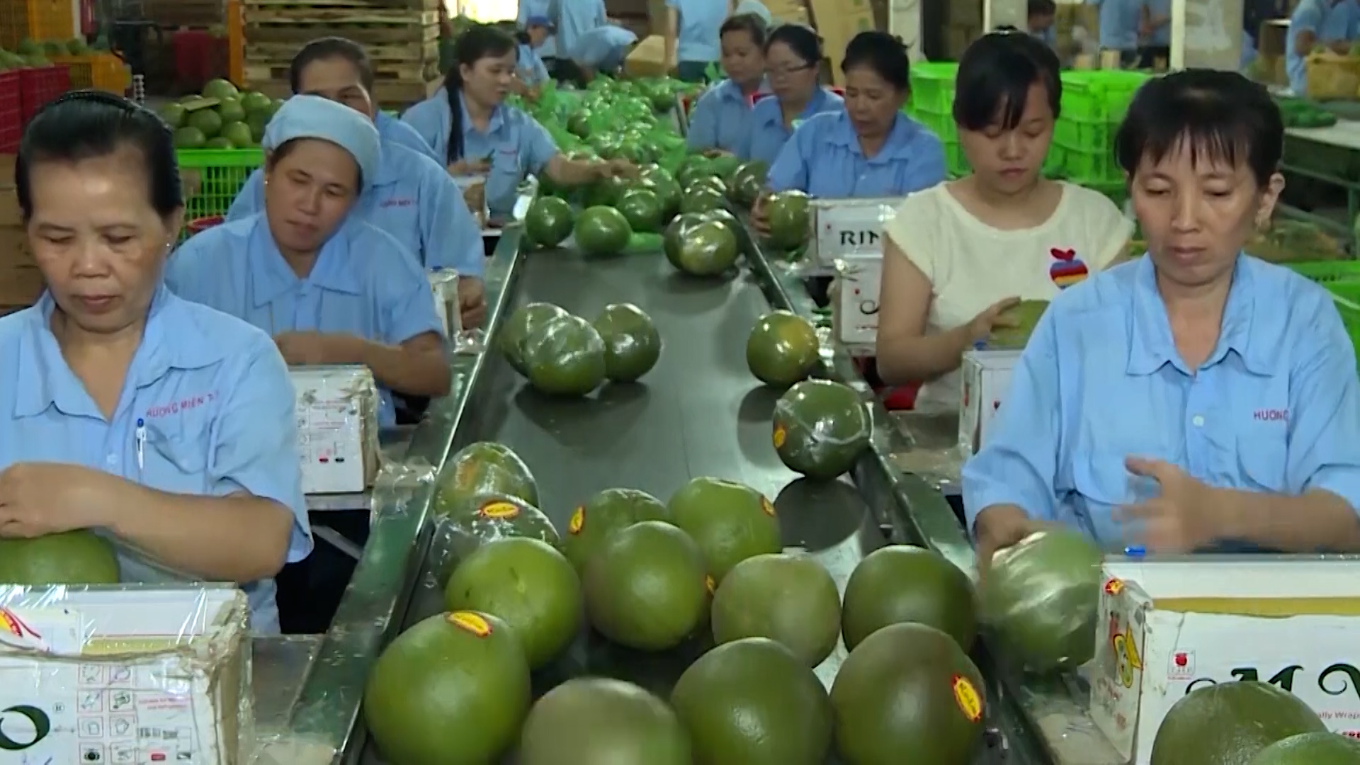 Trung Quốc là thị trường lớn nhất của nông sản Việt Nam - Ảnh 2.