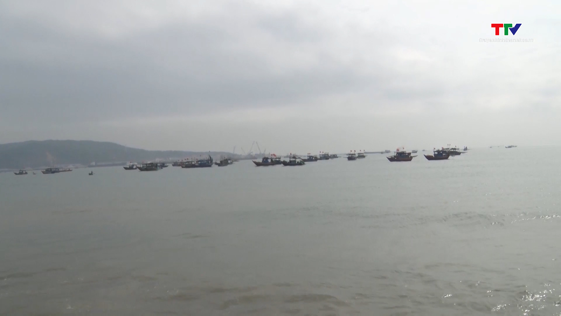Kiên trì vận động người dân đồng thuận triển khai dự án bến cảng số 3, cảng container Long Sơn - Ảnh 5.