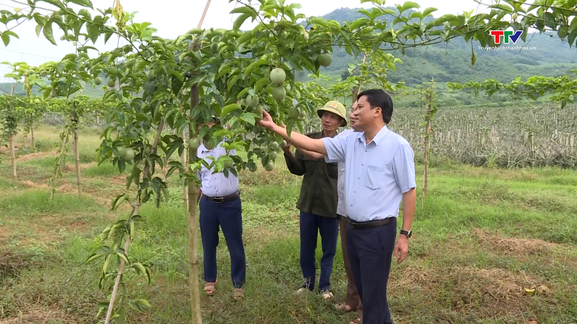 Gam màu sáng thu hút đầu tư tại Ngọc Lặc - Ảnh 2. Gam màu sáng thu hút đầu tư tại Ngọc Lặc - Ảnh 2.