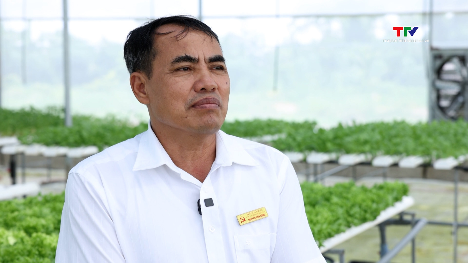 Các hợp tác xã đẩy mạnh ứng dụng số hóa trong sản xuất nông nghiệp ở huyện Hậu Lộc - Ảnh 3. Các hợp tác xã đẩy mạnh ứng dụng số hóa trong sản xuất nông nghiệp ở huyện Hậu Lộc - Ảnh 3.