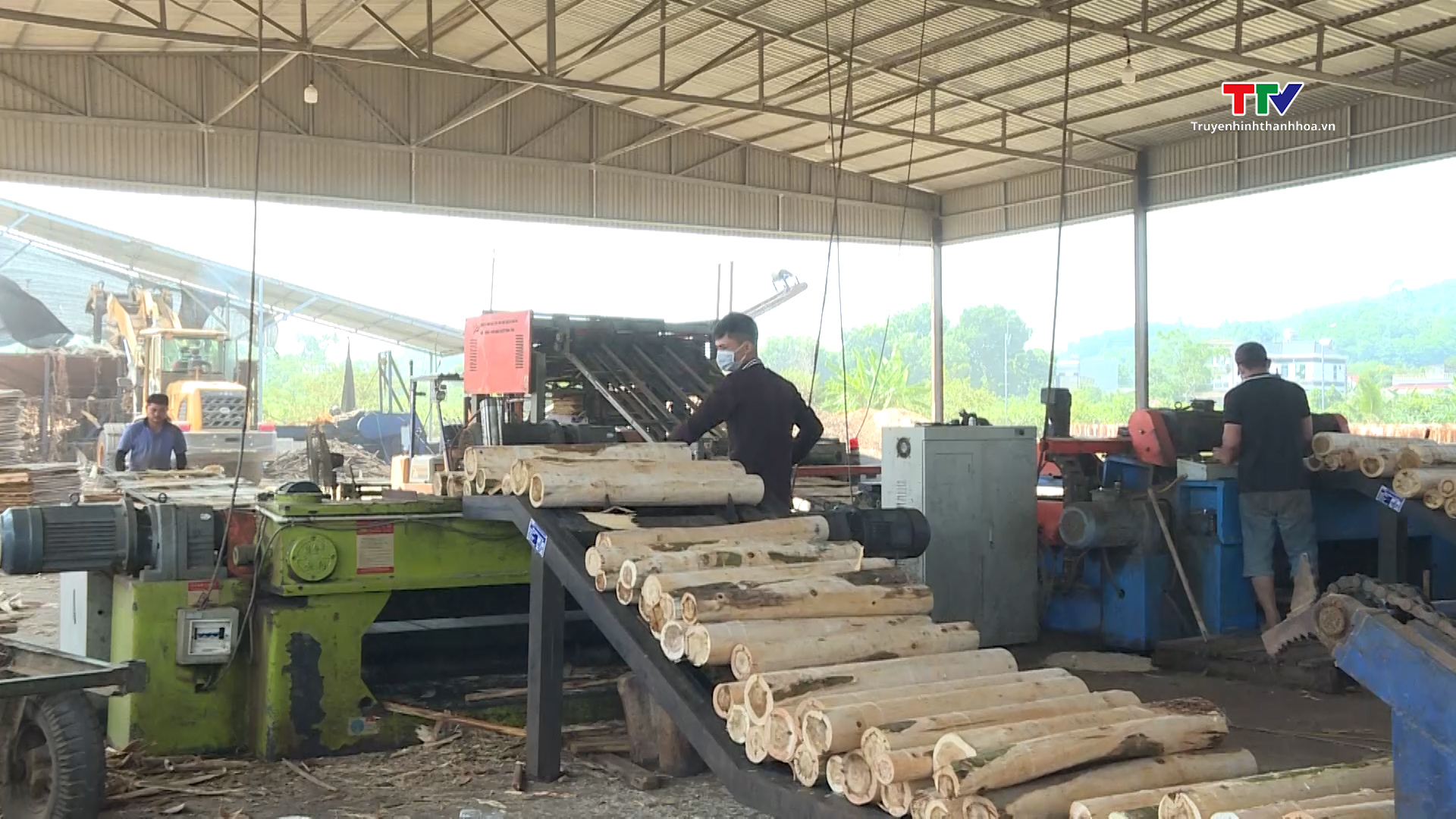 Tăng cường công tác quản lý về thu mua và chế biến gỗ keo trên địa bàn tỉnh Thanh Hóa - Ảnh 2.