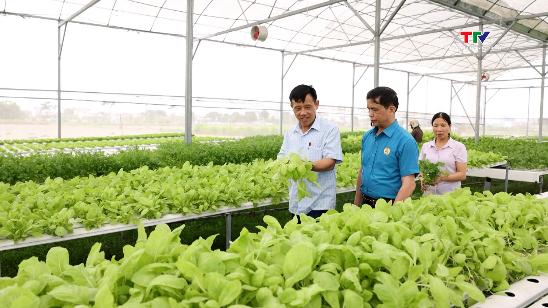 Các hợp tác xã đẩy mạnh ứng dụng số hóa trong sản xuất nông nghiệp ở huyện Hậu Lộc - Ảnh 4. Các hợp tác xã đẩy mạnh ứng dụng số hóa trong sản xuất nông nghiệp ở huyện Hậu Lộc - Ảnh 4.
