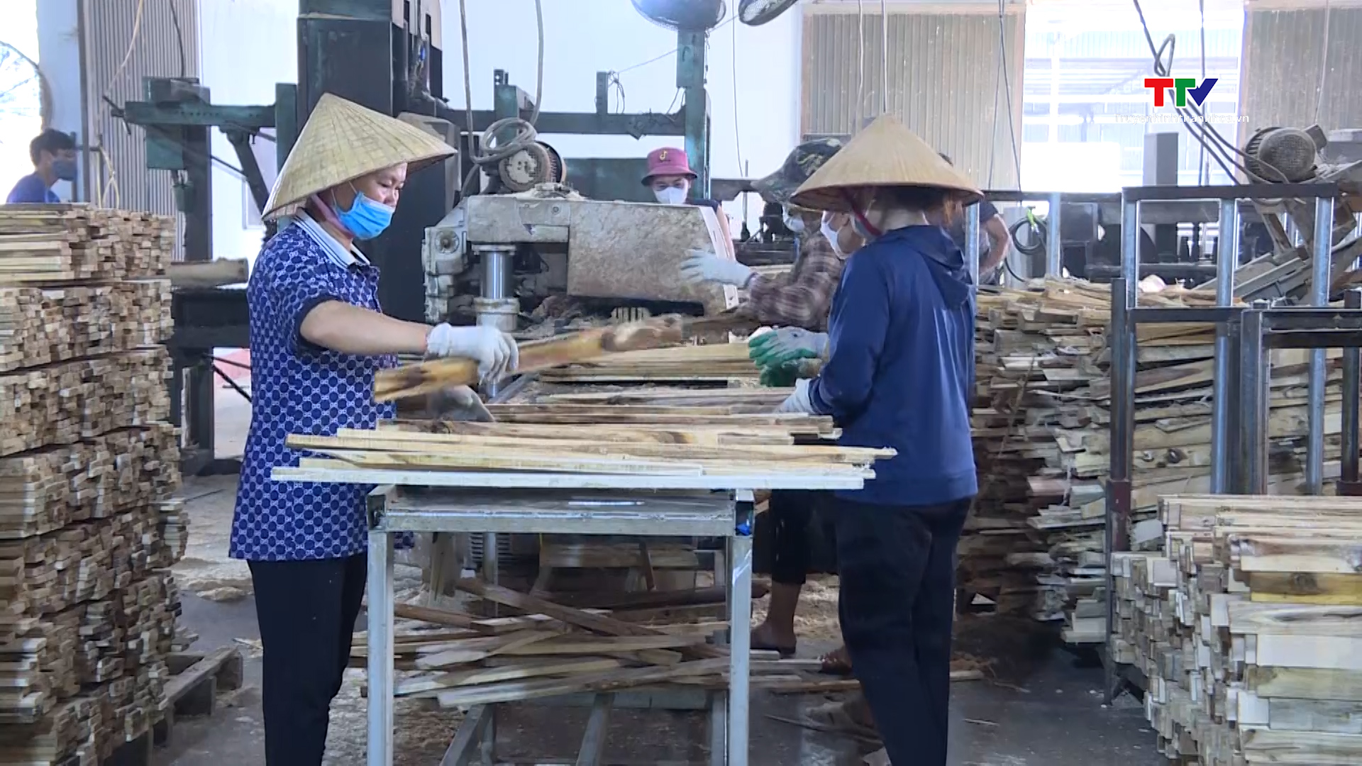 Tăng cường công tác quản lý về thu mua và chế biến gỗ keo trên địa bàn tỉnh Thanh Hóa - Ảnh 6.