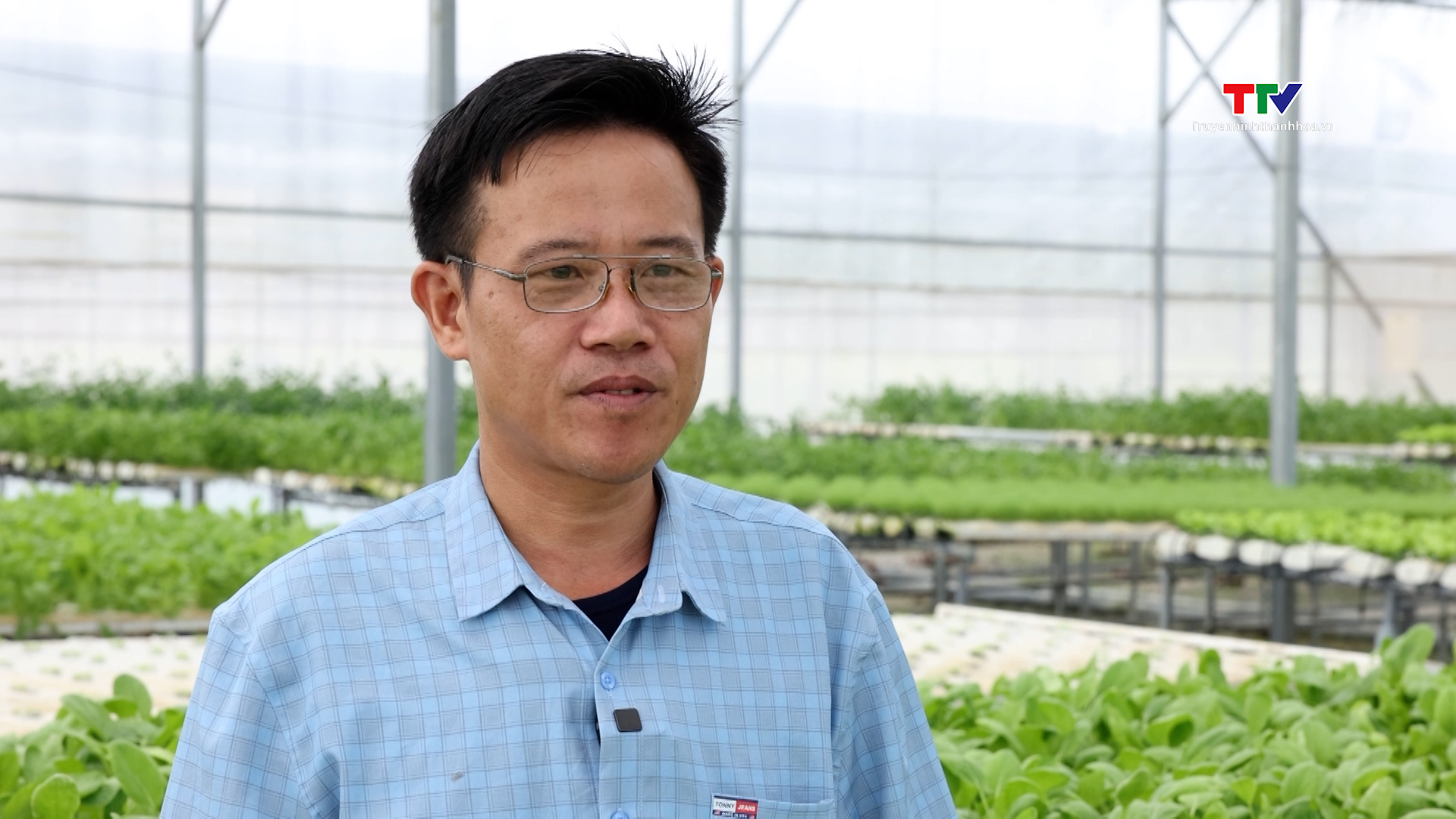 Các hợp tác xã đẩy mạnh ứng dụng số hóa trong sản xuất nông nghiệp ở huyện Hậu Lộc - Ảnh 5. Các hợp tác xã đẩy mạnh ứng dụng số hóa trong sản xuất nông nghiệp ở huyện Hậu Lộc - Ảnh 5.
