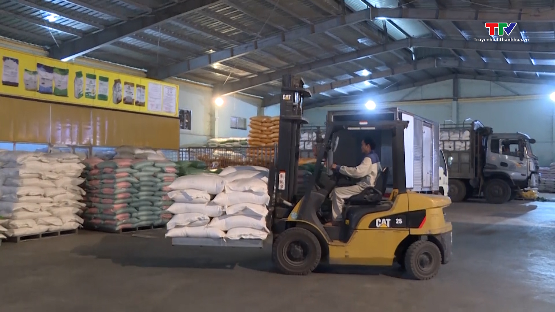 Xuất khẩu gạo mang về gần 3,7 tỷ USD - Ảnh 2.