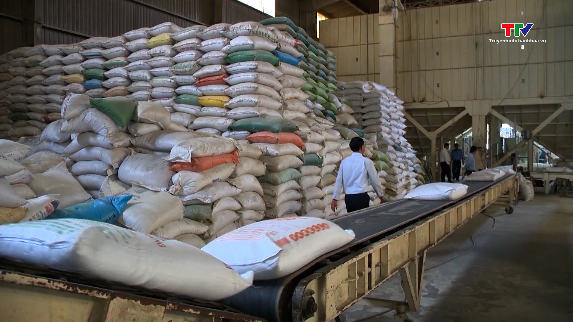 Xuất khẩu gạo dự báo lập đỉnh 4,5 tỷ USD - Ảnh 2.