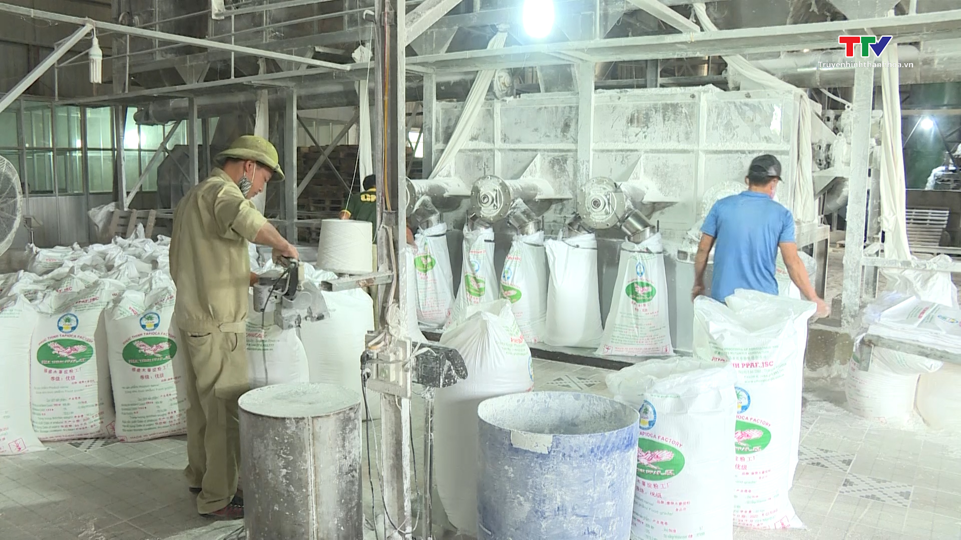 Sắn và sản phẩm sắn cán đích tỷ USD sau 10 tháng xuất khẩu- Ảnh 1.