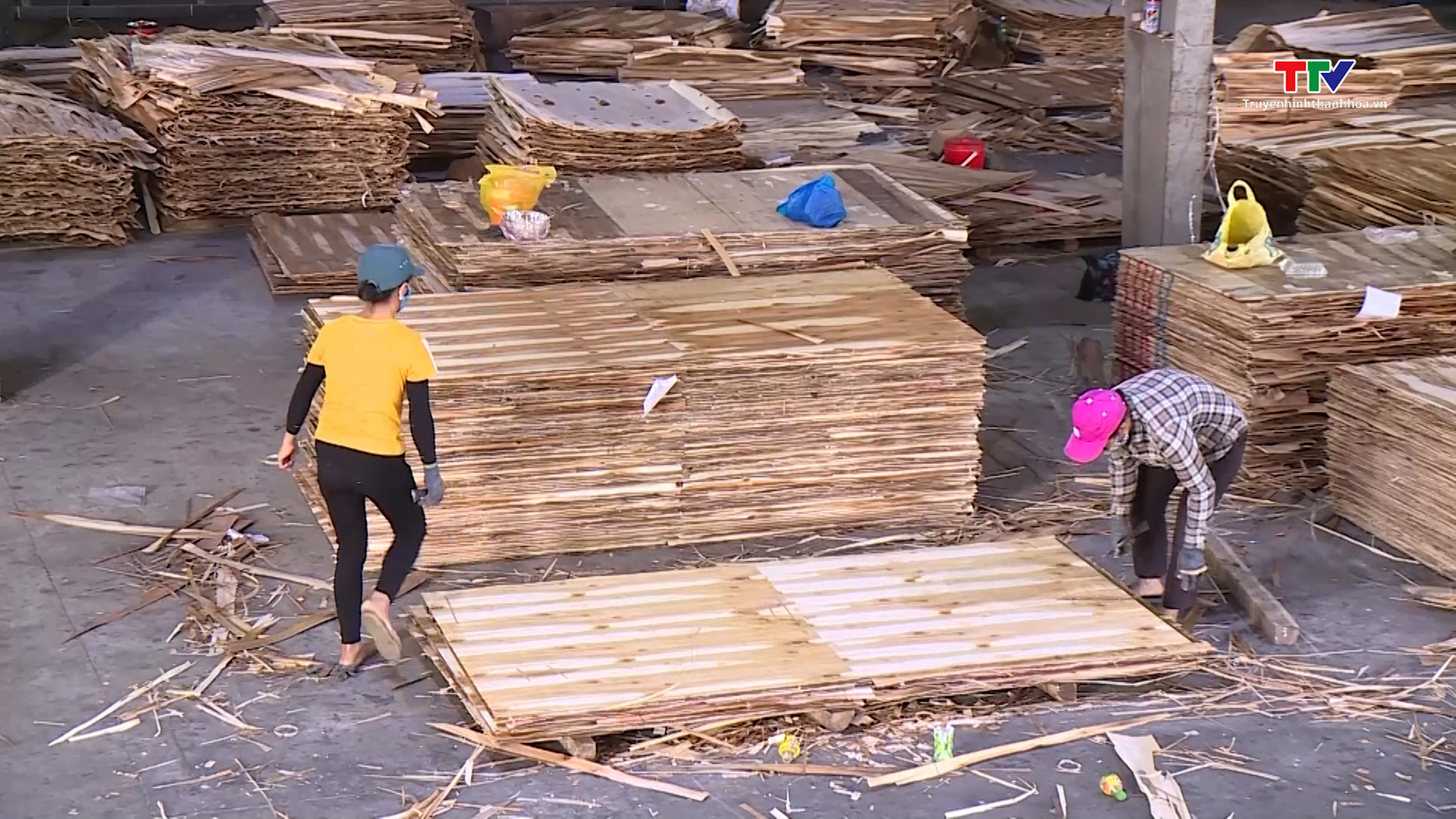 Ngừng tạm nhập, tái xuất gỗ tròn, gỗ rừng tự nhiên từ Lào và Campuchia- Ảnh 1.