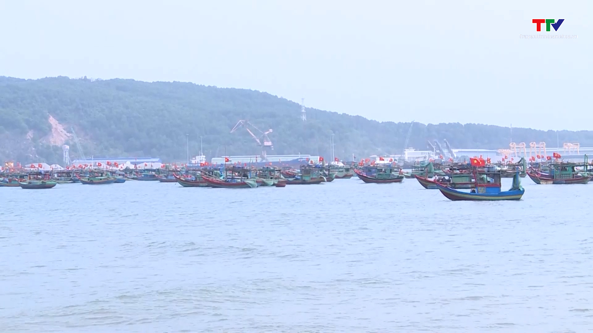 Thông tin “cưỡng chế, đàn áp người dân trong thi công cảng container Long Sơn” là sai sự thật - Ảnh 2.