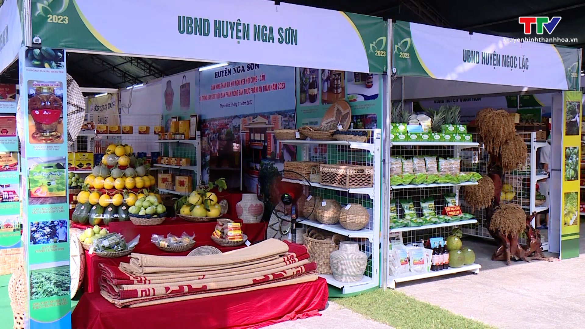 Cơ hội đưa nông sản, thực phẩm an toàn tỉnh Thanh Hoá ra thị trường lớn- Ảnh 1.