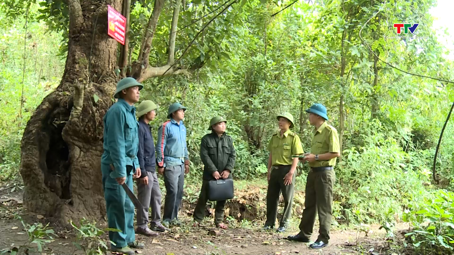 Quỹ Bảo vệ phát triển rừng Thanh Hóa tăng cường truyền thông về chính sách chi trả dịch vụ môi trường rừng- Ảnh 3.